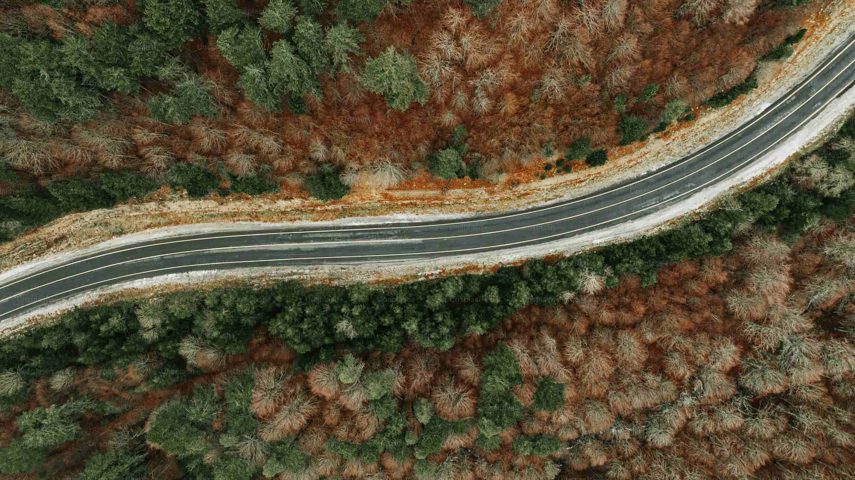 Aerial view of a winding road cutting through a dense forest with a mix of green and autumnal trees, suitable for a nature or travel-related homepage background.